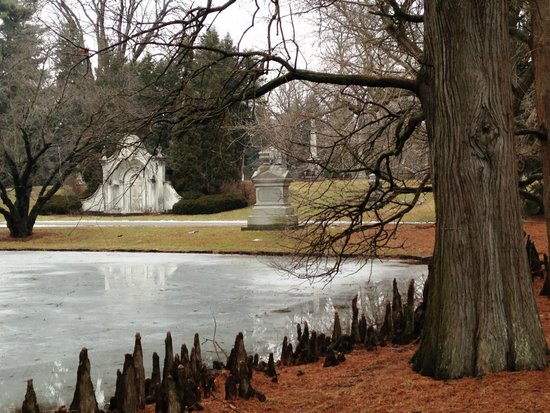 Spring Grove Nature Walk / Early Bloomers / Mar 19