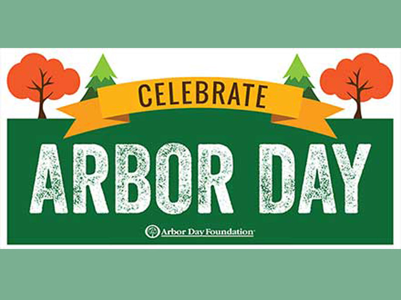 Arbor Day Walking Tour 2025