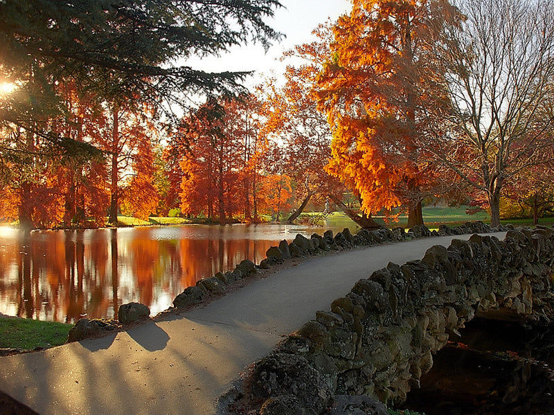 Fall Walking Tour 2026